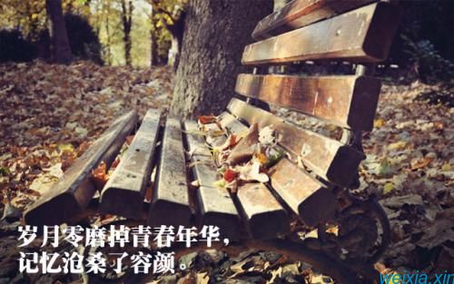 Davidvivi博客